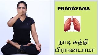 How to Do Pranayama நாடிசுத்தி பிராணயாமா in Tamil explained by DrLakshmi Andiappan [upl. by Romona]