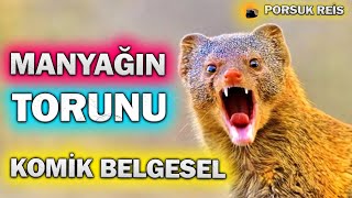 MANYAĞIN TORUNUN CANI ZEHİRLİ ŞERBET İSTİYOR [upl. by Annabal222]