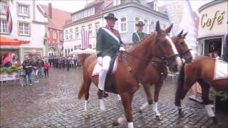 Schützenumzug in Warendorf 22082016 [upl. by Fitzhugh]