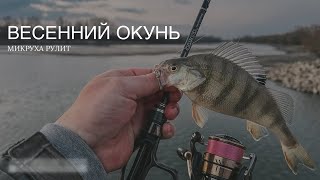 Микроджиг на Кубани Окунь на ультралайт🎣 Выгулял Graphiteleader Corto Prototype 23GCORPS642ULHS [upl. by Schiff]