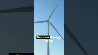 Biomass Energy [upl. by Perri]