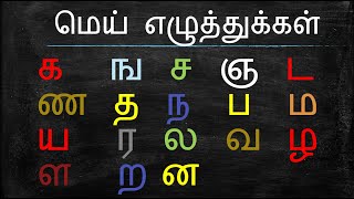 Learn Tamil Alphabets  Mei Ezhuthukal  Easy Tamil Learning  Tamil Consonants  மெய் எழுத்து [upl. by Fransis]