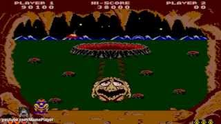 Hole Land 1984 Tecfri Mame Retro Arcade Games [upl. by Alyose]