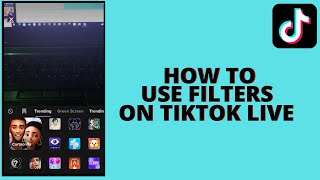 How to Use Filter On Tiktok Live [upl. by Thesda187]