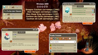 DOFUS RETRO TEMPORIS III 4  LA CHANCE DE FOU [upl. by Elahcar144]