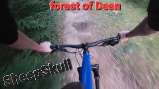 SheepskullBlack TrailForest of Dean [upl. by Onez285]