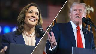 ELEZIONI USA 24 Aziende e Settori Agevolati da Trump o Kamala Harris [upl. by Einnej]