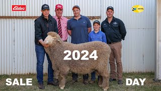 Collinsville Stud Merinos 2024 Sale Day [upl. by Ivanna]