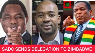 WATCH LIVE SADC sends delegation to Zimbabwe to deal with Mnangagwa [upl. by Leunamne981]