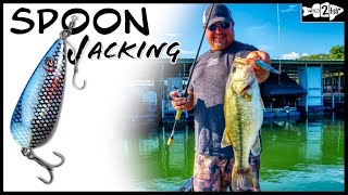 Improved Tips for Fishing Flutter Spoons with James Watson [upl. by Davide]