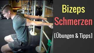 Schmerzen in der Bizepssehne unterer Teil  Schmerzen bei BizepsCurls │Mischa Kotlyar [upl. by Aseuqram]