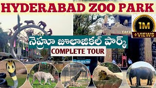 Nehru Zoological Park Hyderabad Complete Tour  Safari  JPSarva Yatra [upl. by Denna858]