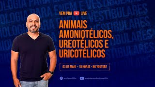 Animais amoniotélicos ureotélicos e uricotélicos [upl. by Pfister]