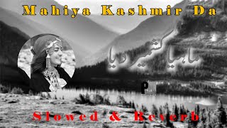 Mahiya Kashmir Da  Slowed amp Reverb  ماہیا کشمیر دیا  Pothwari Mahiya New 2024 [upl. by Resarf]