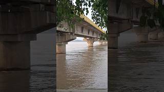 Rewaghat Ganga Nadi youtubeshorts viralvideo ternding 🙏🙏🙏🙏🙏🙏 [upl. by Onek]