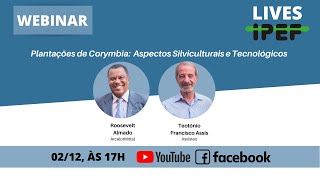 Lives IPEF Webinar quotPlantações de Corymbia Aspectos Silviculturais e Tecnológicosquot [upl. by Auqined]