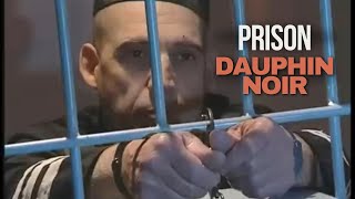 LES 4 PIRES CRIMINELS DU DAUPHIN NOIR [upl. by Eima]