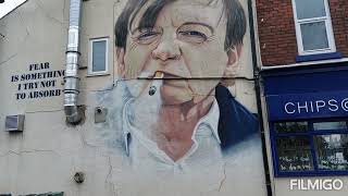 A visit to the Mark E Smith Murial music art thefall punk musicshorts musicphotographer vlog [upl. by Elisee433]