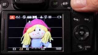 AE and AF lock AFF AFS and AFC focus styles on Panasonic Lumix Cameras Explained [upl. by Lupita]