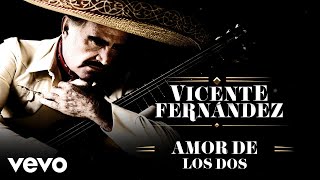 Vicente Fernández  Amor de los Dos LetraLyrics [upl. by Hizar933]