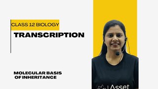 TRANSCRIPTION  Molecular Basis of Inheritance  Class 12 Biology  NCERT  NEET [upl. by Ayanaj870]