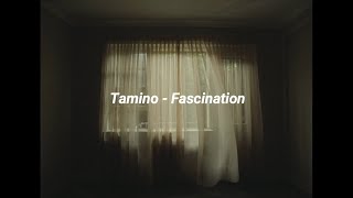 Tamino  Fascination Lyrics Laurence Anyways [upl. by Zuleika642]