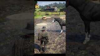 RDR2 All gang horse rdr2horses rdr2 shorts [upl. by Tychon]