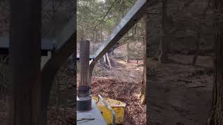 Logging with a timberjack 🪓 logging stihl loggingvideos loggerlife woods [upl. by Ynafets]