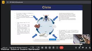 Charla Gusano Barrenador [upl. by Niotna887]