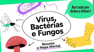 VÍRUS BACTÉRIAS E FUNGOS  BIOLOGIA  Mapa Mental  Quer Que Desenhe [upl. by Atteras]