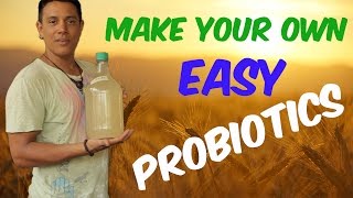 How to make your own easy no whey probiotics LACTO tutorial  VLOG 008 [upl. by Narrat219]