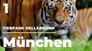 DeineMünchenTour  Tierpark Hellabrunn [upl. by Tra]