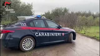 Provincia di Foggia contrasto ai reati predatori 13 arresti e una denuncia da parte dei Carabinieri [upl. by Euqininod842]