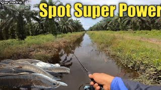 Spot Ini Memang Sangat Menggiurkan Para Angler [upl. by Coe452]