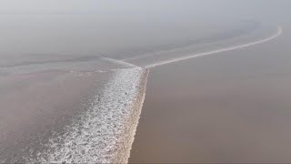 Qiantang tidal bore in east China reaches peak wowing visitors [upl. by Asyral]