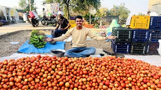 I Bought This Tomatoes In 5100Rs How Much Earn After Reselling [upl. by Hsenid242]