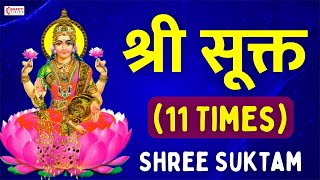 श्री सूक्तम् ११ आवर्तन  Shri Suktam 11 Times with Lyrics  ॐ हिरण्यवर्णाम हरिणीं सुवर्ण [upl. by Nicko]