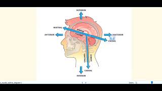 Kanski Clinical Ophthalmology Made Easy  Neuro ophthalmology 12 oculomotor nerve palsy [upl. by Ahseinet205]