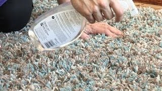 How To Clean Wool Carpets [upl. by Adaven]