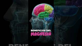 El Magnesio Mejora tu SUEÑO y Reduce la ANSIEDAD  Beneficios del MAGNESIO [upl. by Ollehcram633]