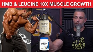 HMB vs Leucine Do HMB and Leucine Work for Muscle Growth amp Body Building [upl. by Jeniffer956]