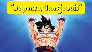 Comprendre enfin quotJe pense donc je suisquot feat SanGoku [upl. by Battiste]