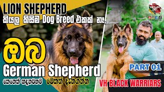 German Shepherd  ඔබ ආදරේ කරන සුරතලාගේ කතාව  Sinhala  Lion Shepherd Dog VH Black WarriarsPart 01 [upl. by Macknair]