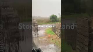 I’m not going out there 😂🇮🇪 motorhometravel guardanimals chihuahua ireland storm wind [upl. by Derraj]