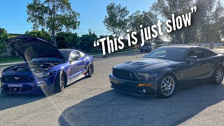 Shelby GT 500 WANTED TO RACE MY ALL MOTOR 50 [upl. by Valli]