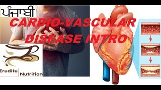 Cardiovascular Diseases CVD  Intro by Erudite Nutrition punjabi [upl. by Garrity]