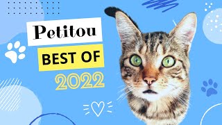 Petitou Best OUF 2022 [upl. by Aseeral]