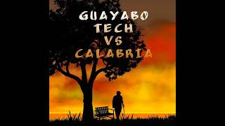 Guayabo Tech Vs Calabria [upl. by Ahsimrac]