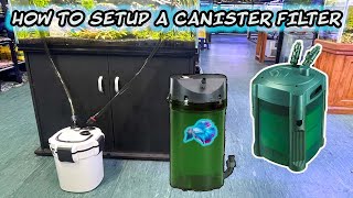 HOW TO SETUP A CANISTER FILTER FOR FISH TANK  HOW TO START EXTERNAL CANISTER FILTER [upl. by Leahcimaj]