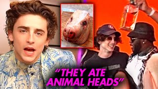 Timothee Chalamet SPEAKS OUT On HORROR At Diddy Party  Diddy’s Connection to CNNIBAL Armie Hammer [upl. by Ealasaid202]